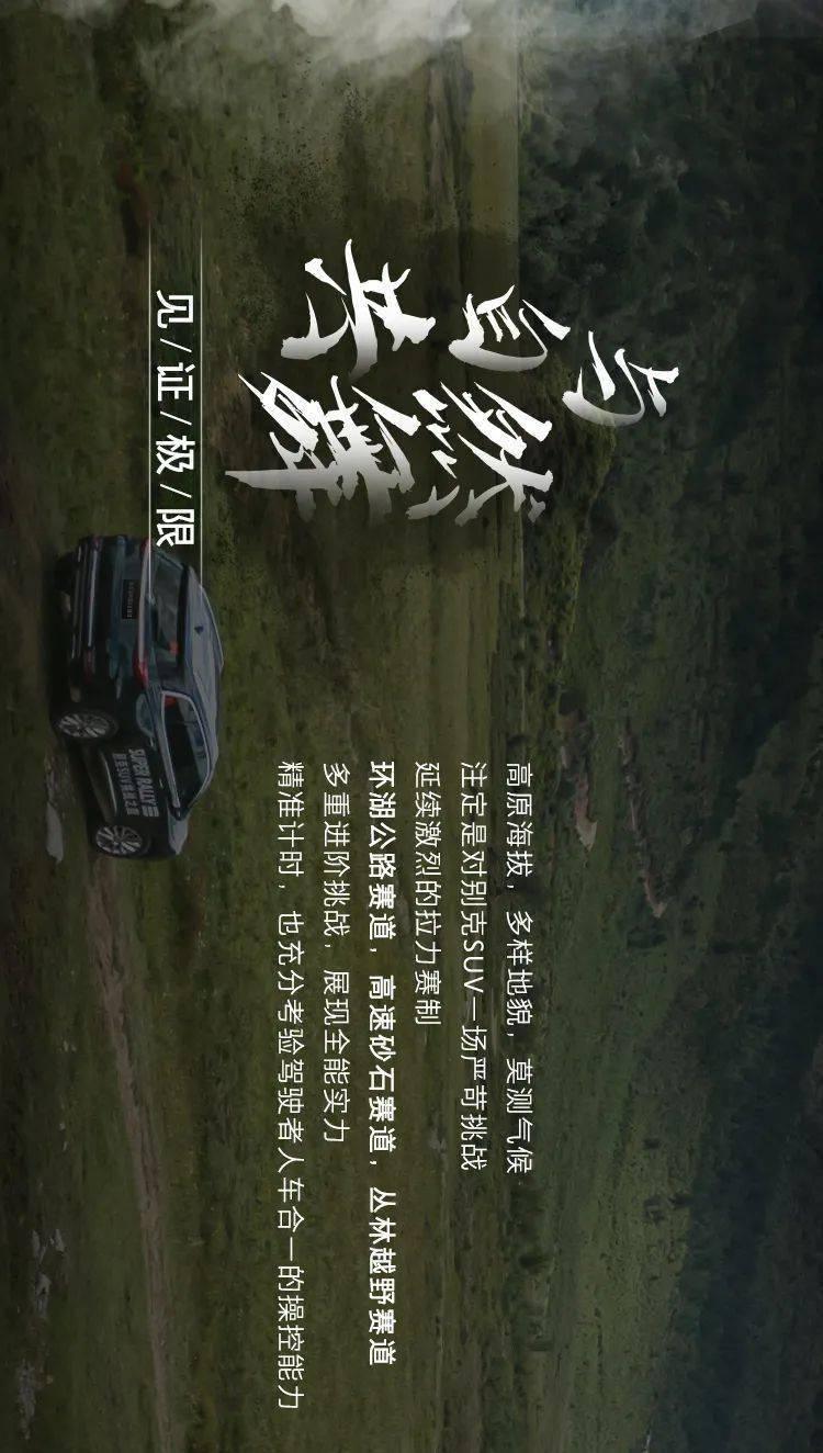 划龙舟吃粽子